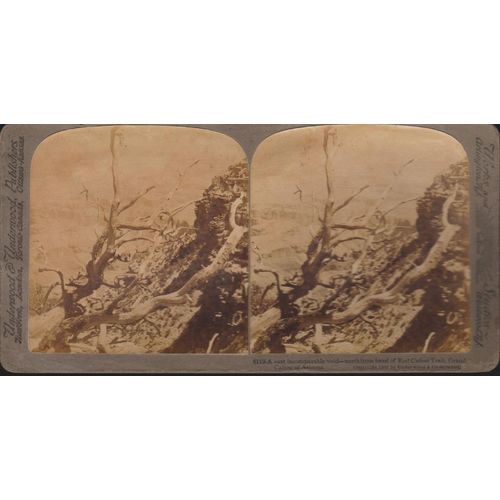 Red Canyon Trail, Grand Canyon, Arizona – Underwood Antique Stereoview Card