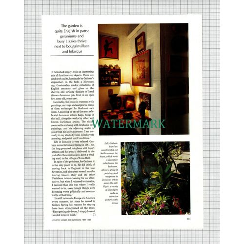 X1952) Graham Davies Artist Golden Spring Ocho Rios Jamaica -1989 Article