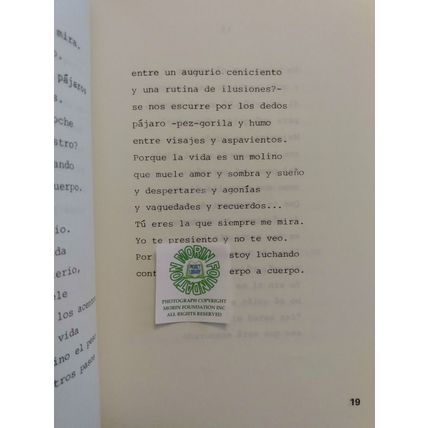 TRATADO DEL AMOR Y DE LA MUERTA por AMABLE SANCHEZ TORRES PRIMERA EDICION 1st