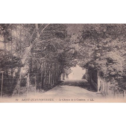 Saint Quay Portrieux Chemin De La Comlesse Antique Postcard
