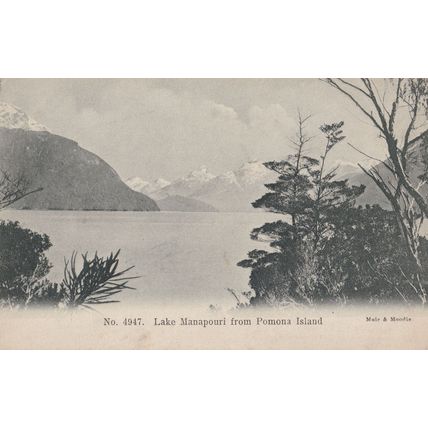 Lake Hamilton Waikato New Zealand Old Postcard