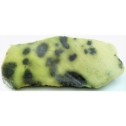 Frog Skin Serpentine 2 Gemstone Slab Cabbing Rough