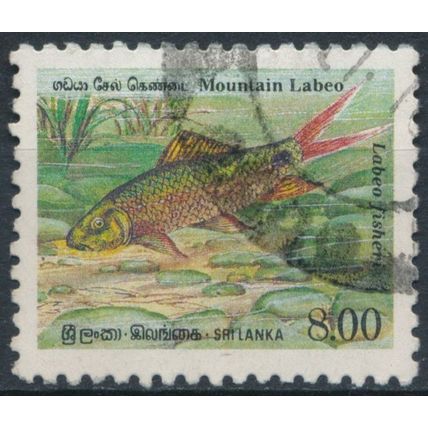 Endemic Fish: 8r - Sri Lanka 1990 - F H - SG 1135