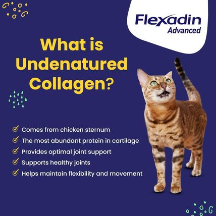 Vetoquinol Flexadin Advanced Dog Hip and Joint Supplement with Undenatured Colla