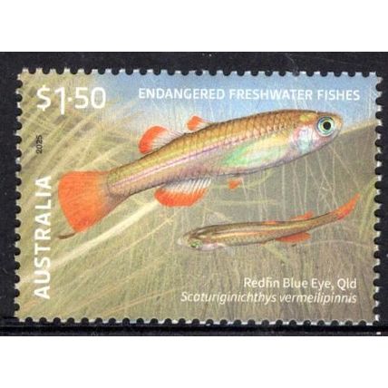 AUSTRALIA: 2025 ENDANGERED FRESHWATER FISHES, REDFIN BLUE EYE, MNH.