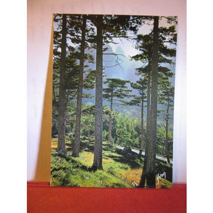 LA FORET DE BAVELLA, FRANCE used postcard 1988 postmark #
