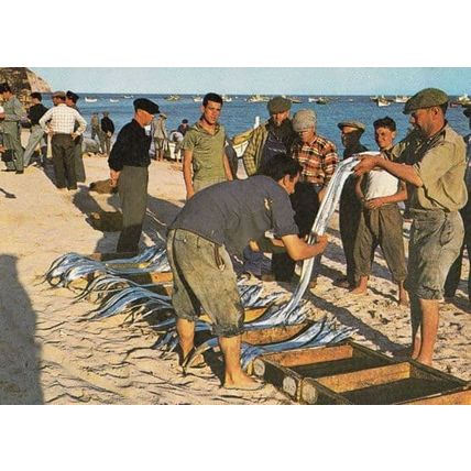 Sesimbra Fishing Selecting Fish Markets Portugal Postcard