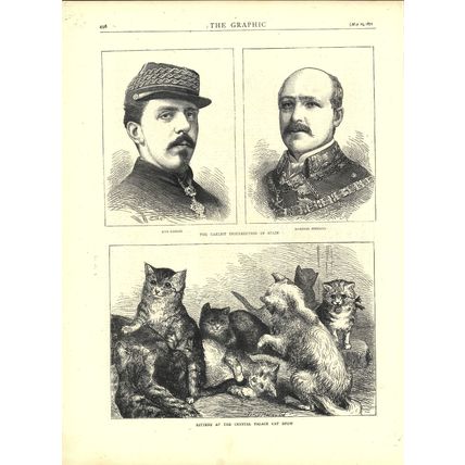 CARLIST INSURRECTION IN SPAIN - CRYSTAL PALACE KITTENS 1872 VICTORIAN ENGRAVINGS