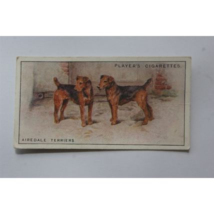 1925 John Player & Sons Dogs No. 39 Airedale Terriers