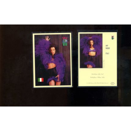 AMY WEBER 1994 Women of The World Italy card #81 Hot!! MODEL NM