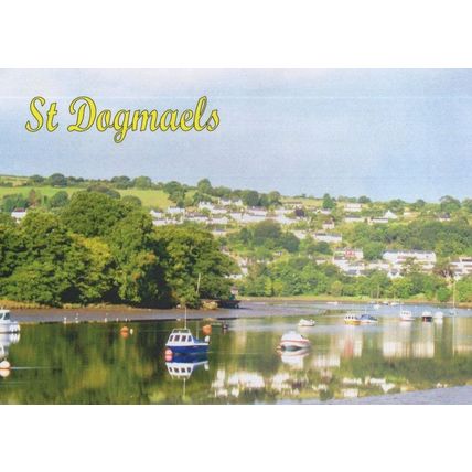 St. Dogmaels Cardigan Wales Boats River Teifi Postcard
