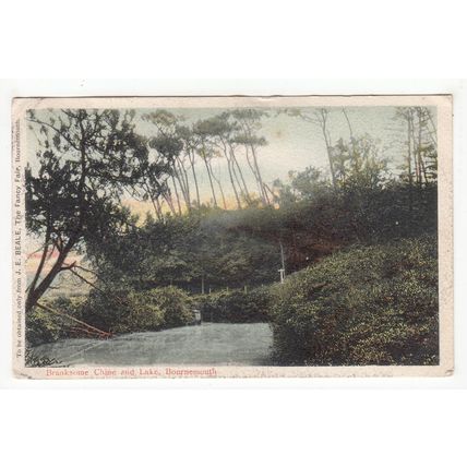 1906 Bournemouth Single Ring Postmark on Postcard