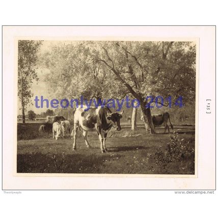 Pastoral Scene - Constant Troyon, Book Illustration, 1902