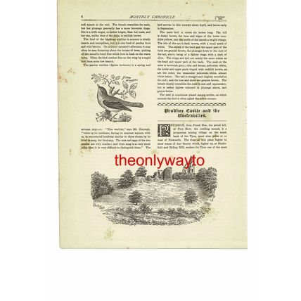 Approach To Prudhoe Castle, Northumberland, Book Illustration (Print), 1891