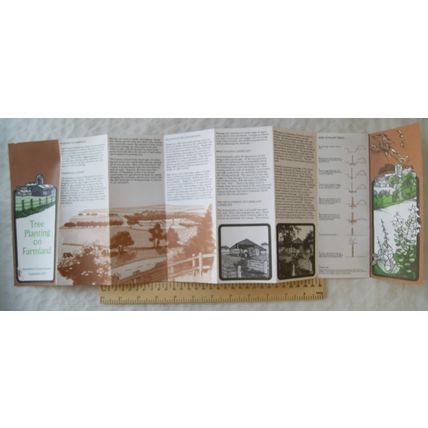 1977 leaflet Tree Planting on Farmland, Hampshire County Council
