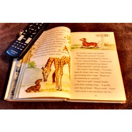 Old Vintage Basic Reader On We Go By Paul McKee 1949 Great Condition