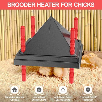 10" X 10" Chick Brooder Heating Plate with anti Stand Cone, Brooder Heater for C