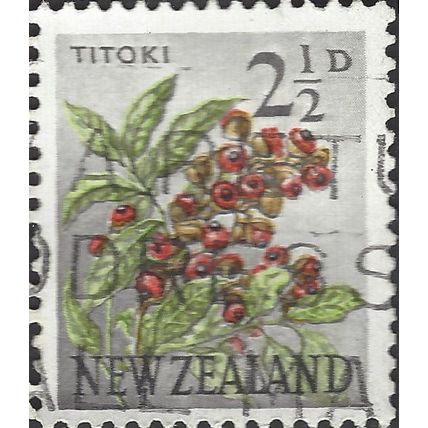 NEW ZEALAND, FLOWER, Titoki, Alectryon excelsus, grey 1961, 2½c