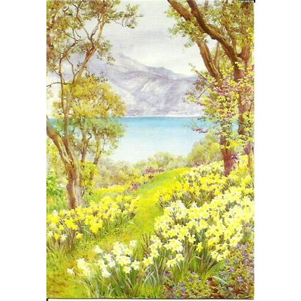 Art BEATRICE PARSONS Lake View Postcard (Medici 2123)