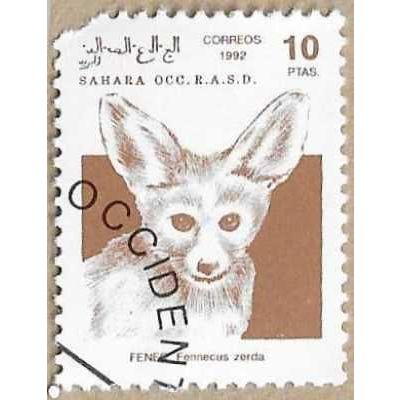 1992 - Fennec fox - 16792