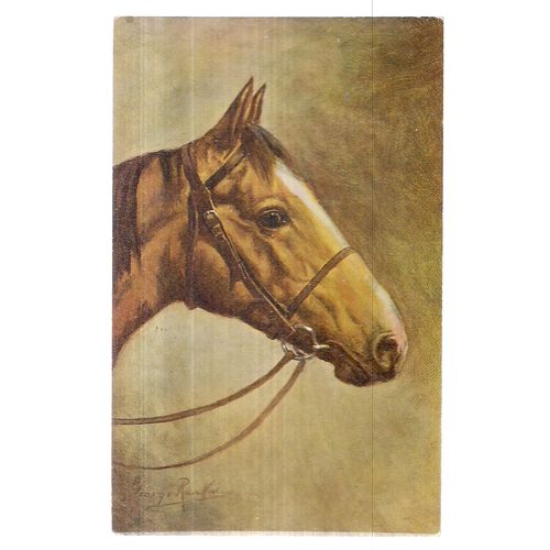 HORSE'S HEAD unused vintage postcard by J. Salmon