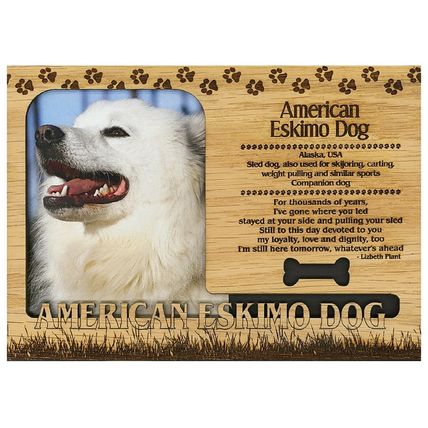 American Eskimo Dog Engraved Wood Picture Frame Magnet
