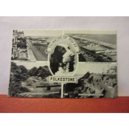 multiview, FOLKESTONE, KENT.. used vintage postcard 1963 pm. spaniel dog =