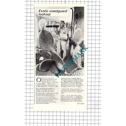 Bill Hyam Colchester Essex Walton on the Naze Coastguards- 1973 Clipping / Print