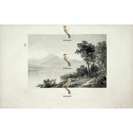 Scenery, Tamworth, New Hampshire, USA, Book Illustration (Print), 1864