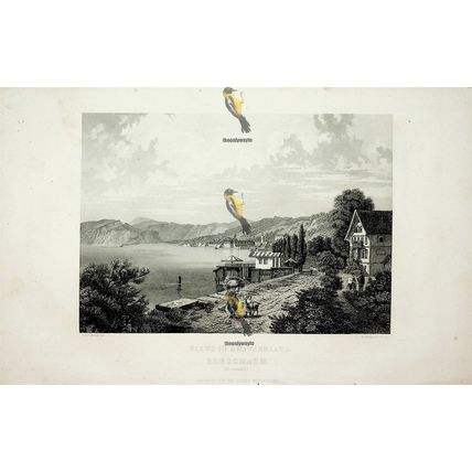 Switzerland, Roschach, (St Gallen), Book Illustration (Print), 1864