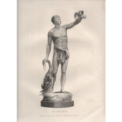 FALCONER 1866 John Edward Carew - William Thomas Fry VICTORIAN ENGRAVING