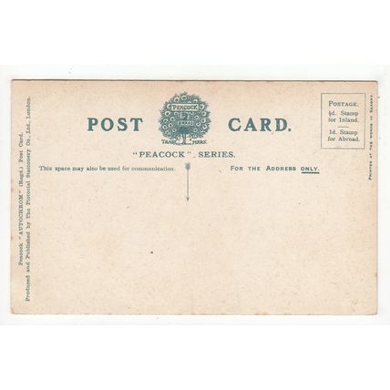The Marquis of Anglesey's Column Postcard Peacock Series