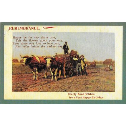 Postcard Oxen Birthday Card 1913 Farm Ox Team - Nostalgia