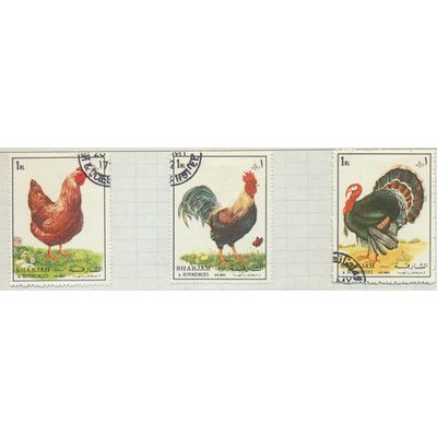 Sharjah & Dependencies Stamps, Chickens & Turkey, CTO, 3 Different