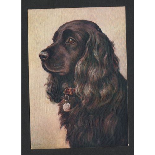 DE RESKE THE COCKER SPANIEL CIGARETTE LARGE PACKET DOG POSTCARD UNUSED