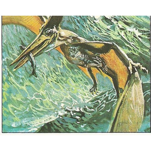 Panini's Dinosaurs Sticker Collection - Sticker No. 66