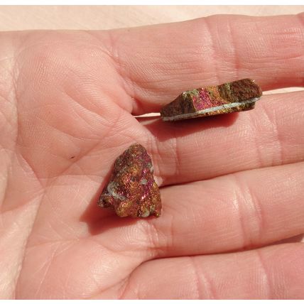 B Peacock Ore Raw Bornite 2 Pieces Metalphysical Gridding Meditation