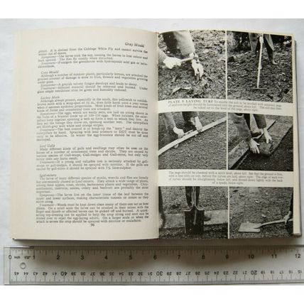 1972 All About Gardening by J. Coutts