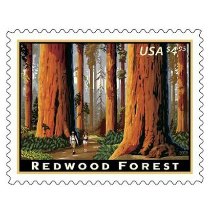 Redwood Forest Issue 2009 $4.95 Priority Mail Single Stamp Scott 4378