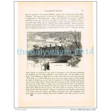 BURTON ABBEY, STAFFS, ENGLAND, BOOK ILLUSTRATION (PRINT), 1882