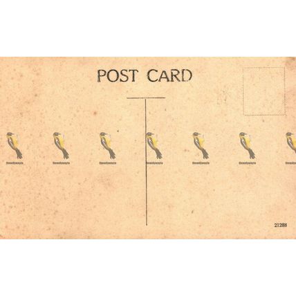 Palace, Hampton Court, Surrey, 21288 Postcard