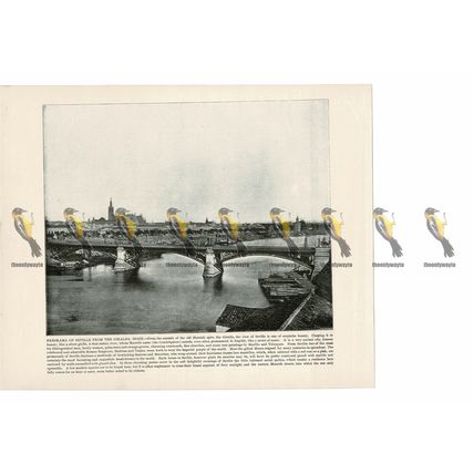Seville, Panorama from the Giralda, Spain, Book Illustration (Print), 1899