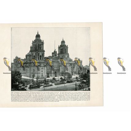 Cathedral, Mexico City, Mexico, Book Illustration (Print), 1899