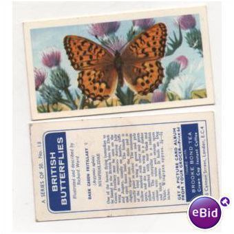 Brooke Bond Tea card BRITISH BUTTERFLIES no.13 DARK GREEN FRITILLARY