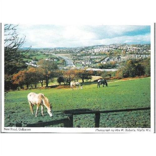 Gelligroes nr Blackwood, Caerphilly - New Road - local postcard c.1980s