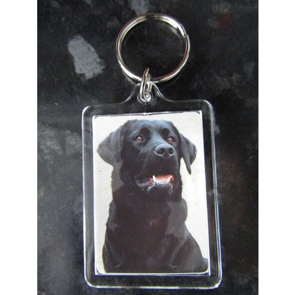 DOG BREED KEY RINGS QUALITY ACRYLIC DOUBLE SIDED PHOTO KEY RINGS 33 BREEDS