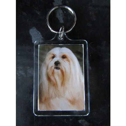 DOG BREED KEY RINGS QUALITY ACRYLIC DOUBLE SIDED PHOTO KEY RINGS 33 BREEDS