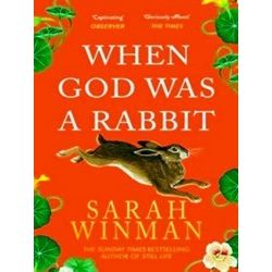 When God Was A Rabbit