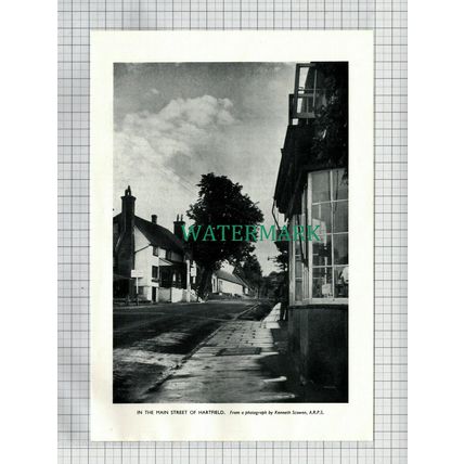 (6573) Hartfield Sussex - 1954 Cutting