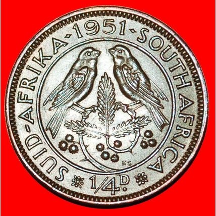 BIRDS (1951-1952): SOUTH AFRICA ★ 1/4 PENNY 1951! ★LOW START★NO RESERVE